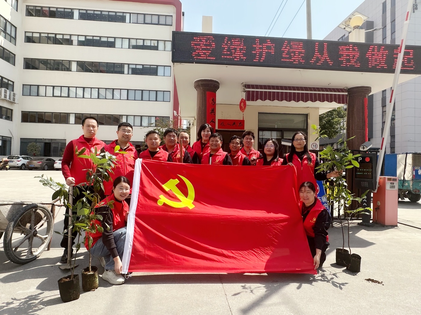 爱绿护绿我先行——公司开展党员植树绿化主题活动